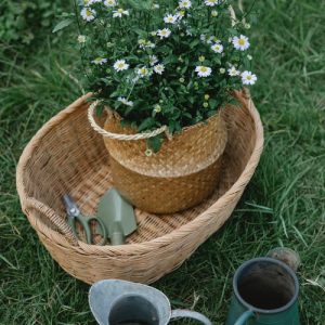 Gardening